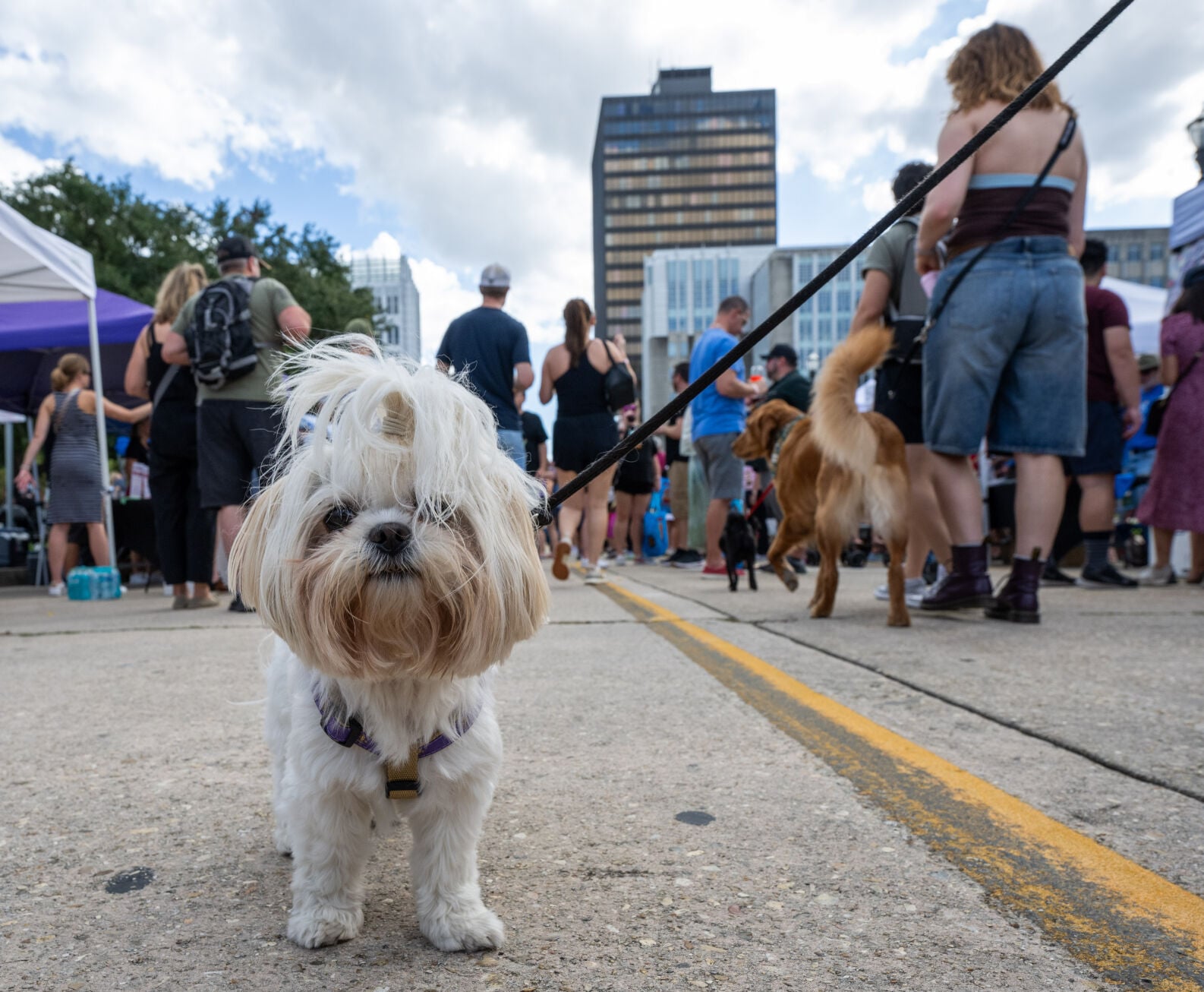 theadvocate.com - Cap City Beer Fest, Prom Macabre and Kiwanis Pancake Festival: Around Baton Rouge