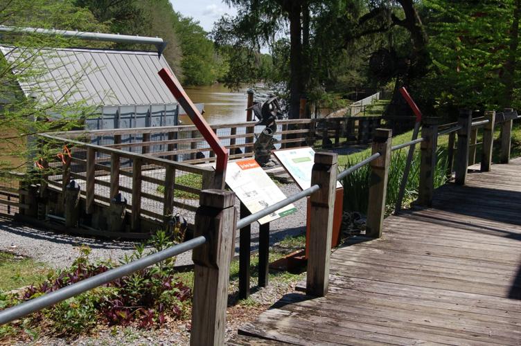 teche boat 4
