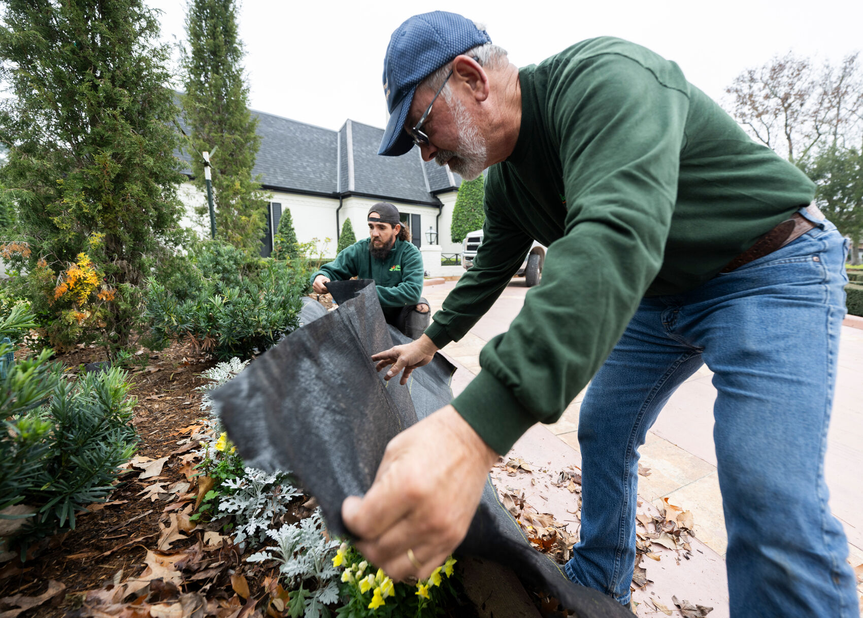 Cold weather advisory, freezing temps in Lafayette La. Weather