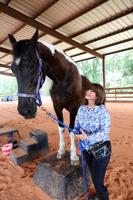 equine.tam.072722.04.jpg