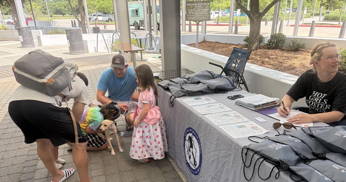 All Paws on Deck walk aims to draw attention to pet health