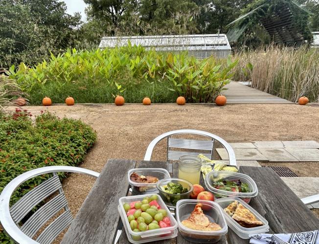 Don't miss ShangriLa Botanical Gardens in Orange, Texas