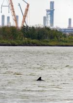 BR.lakechaslng.024.adv