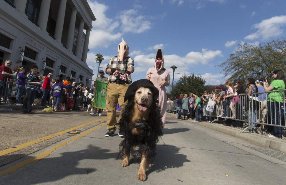 Lafayette’s pooch parade proves a familyfriendly crowd pleaser News