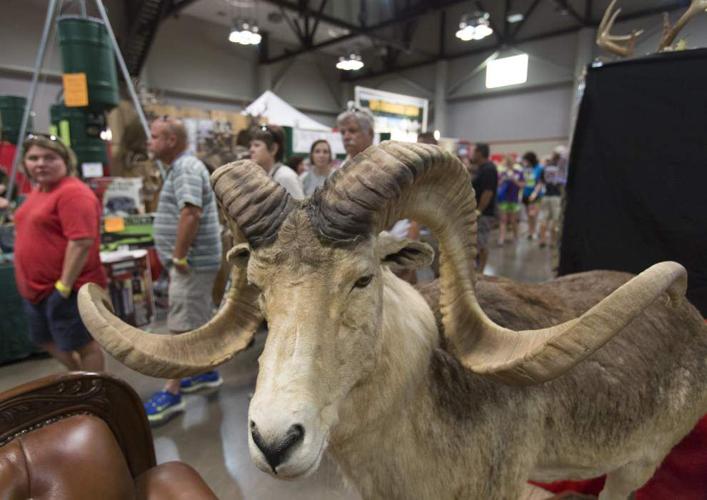 Photos The Louisiana Outdoor Expo News