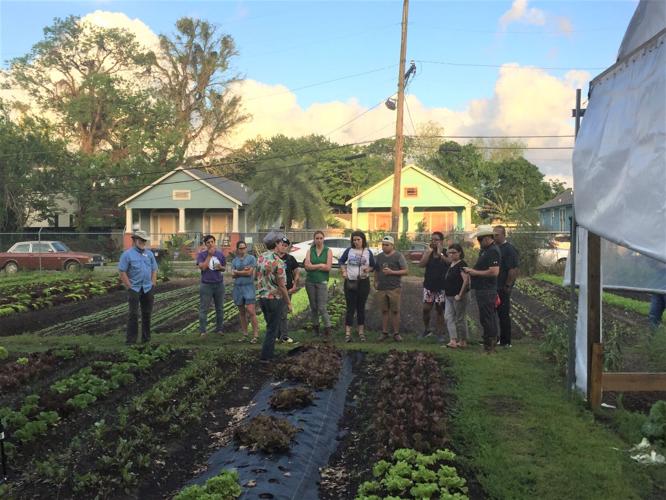 Grow Louisiana helps produce Louisiana farmers Entertainment/Life