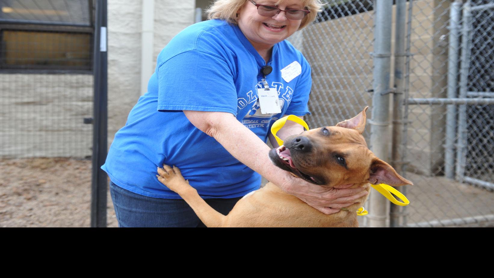Lafayette Animal Shelter Working To Reduce Euthanasia News Theadvocate Com