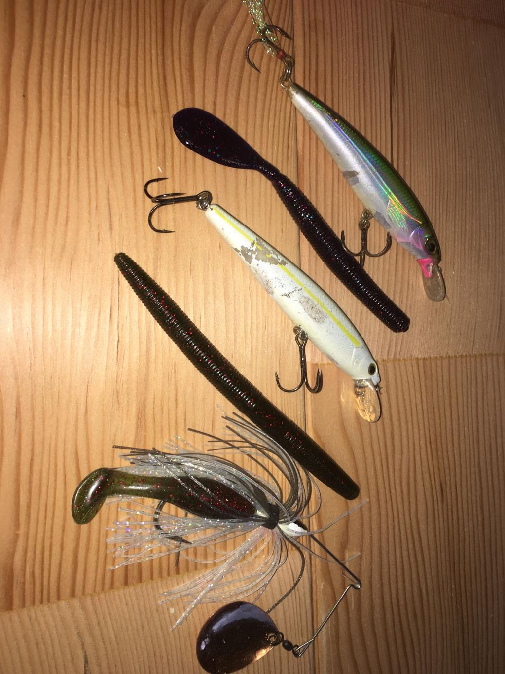 Top 3 Lures For Fishing Coastal Marshes (For Redfish, Trout