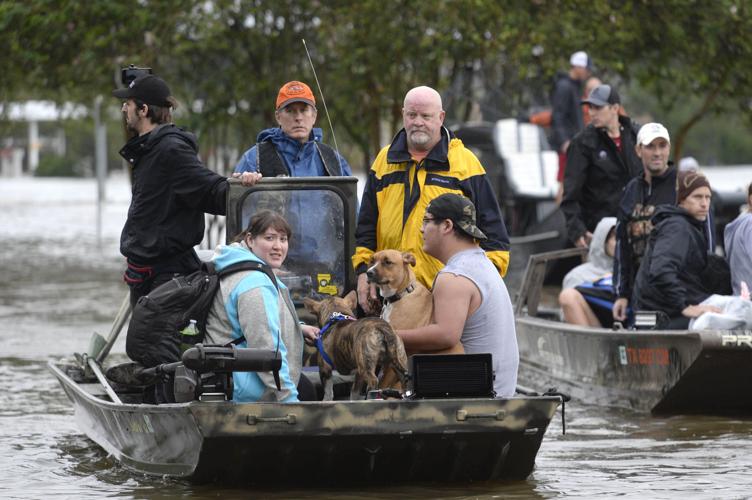 CajunNavyHarvey484.083017.jpg