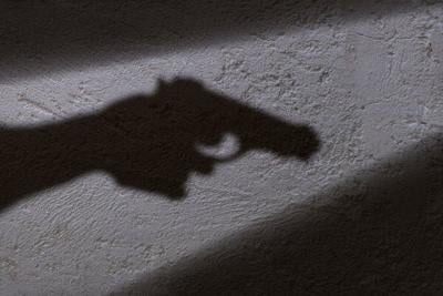 Gun