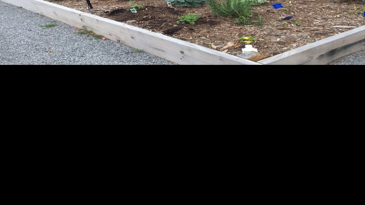 Herb Day Buy Some Herbs Help Build A Herb Garden Home Garden Theadvocate Com