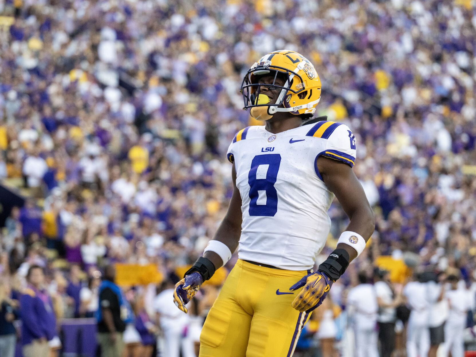 Scott Rabalais AP Poll: New Rankings For LSU, Tulane | LSU ...