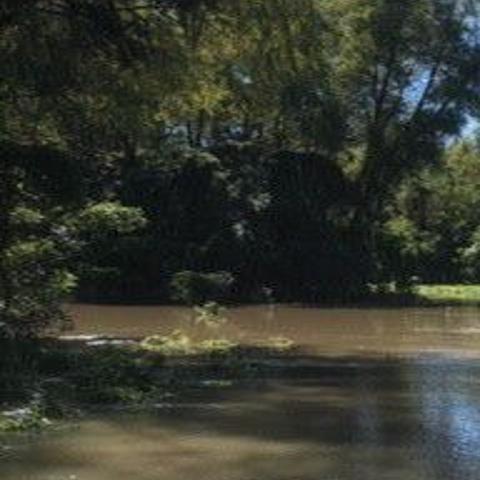 High Water On Mississippi Forces Closure Of Road To Cat Island