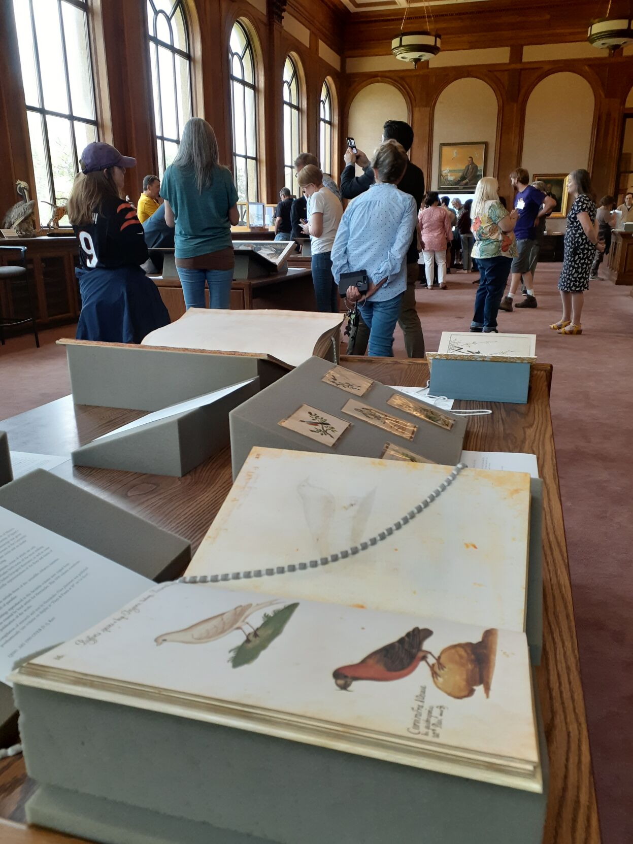 LSU Libraries Special Collections to host Audubon Day Entertainment