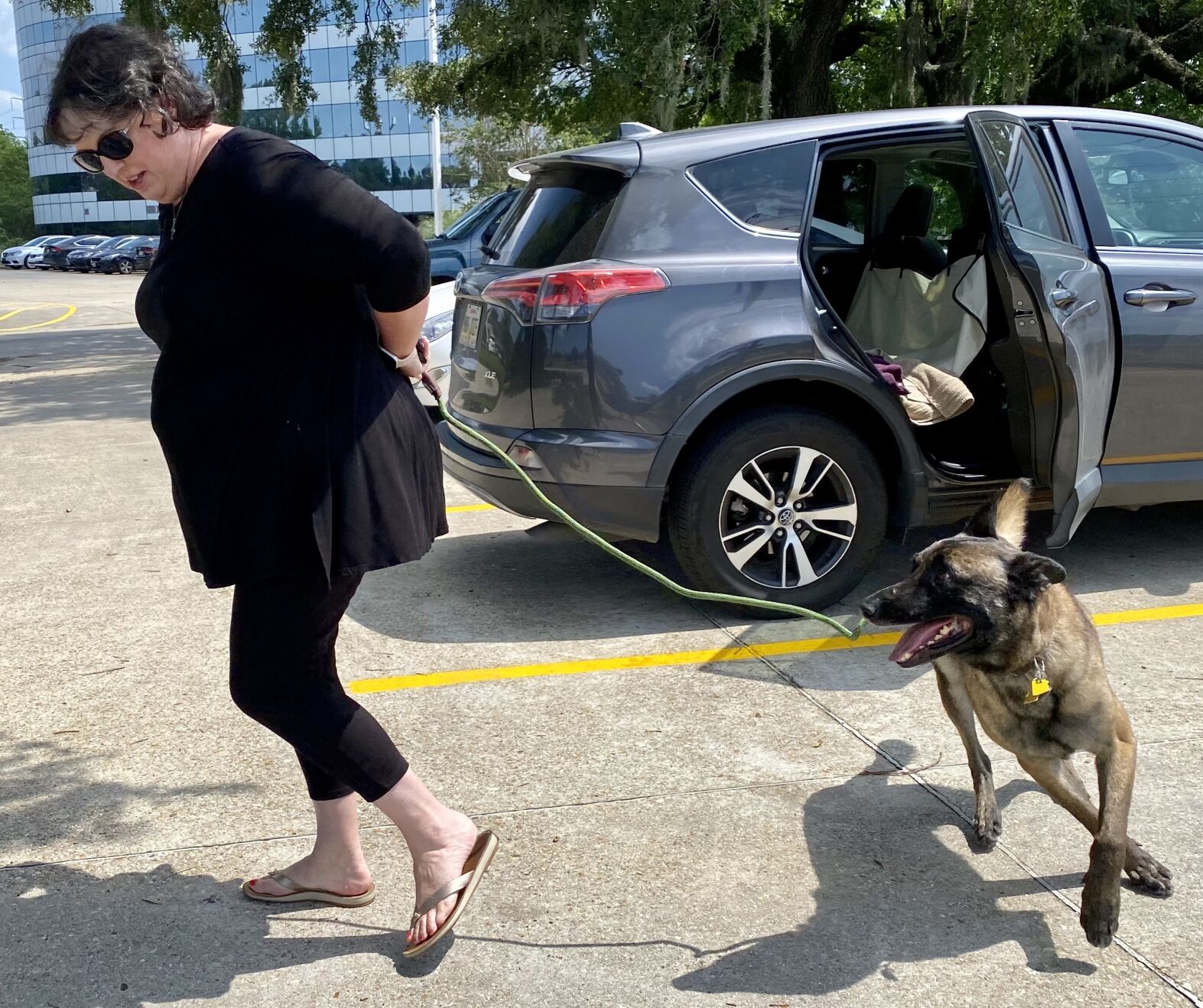 Meet the volunteers who drive thousands of miles to save shelter