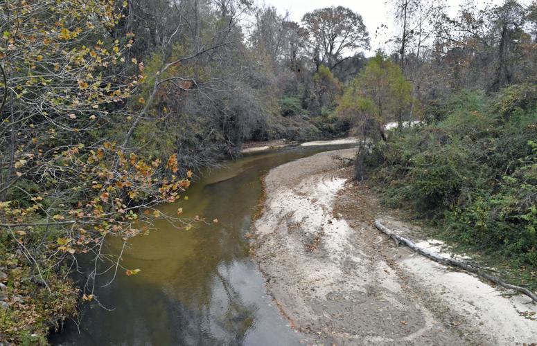 BR.darlington.120219 HS 848.JPG