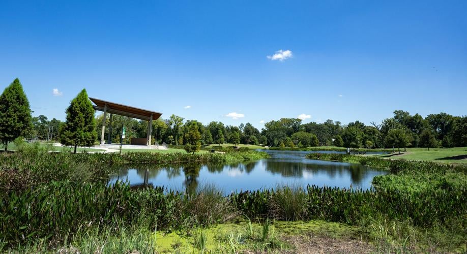 Free parking for Friends of Moncus Park in Lafayette, LA