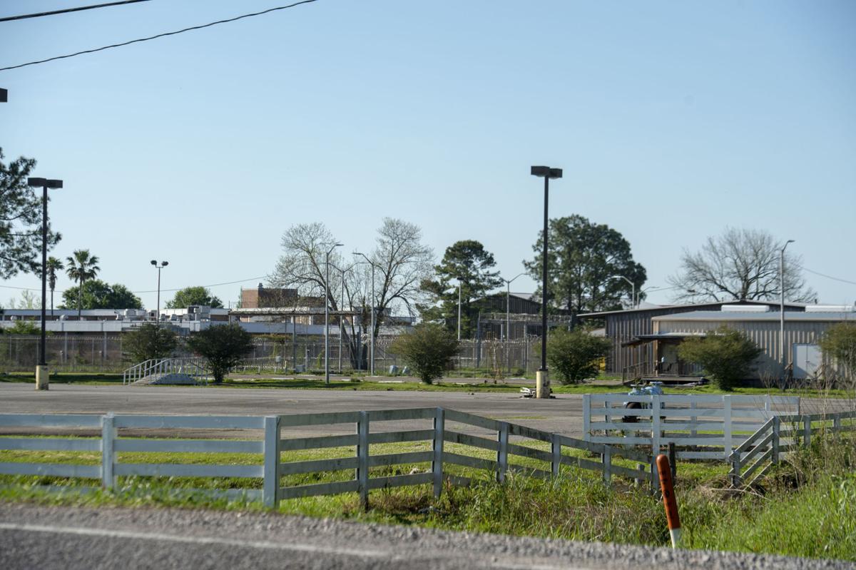 LCI for women 003.jpg