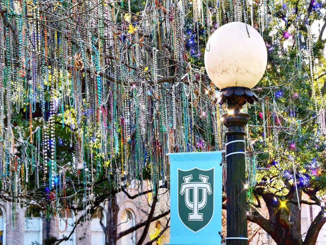 Tulane's Mardi Gras 'Bead Tree' torn down; students say goodbye
