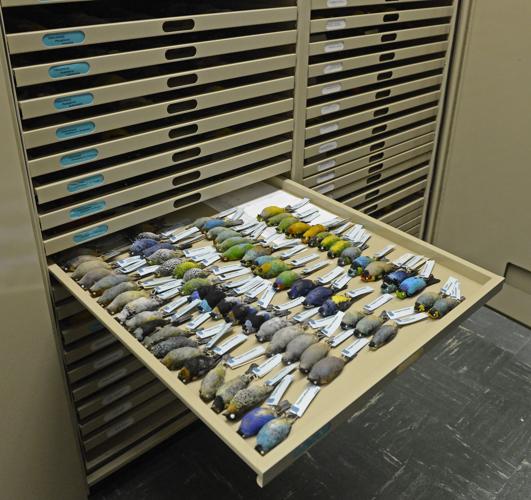 museumnightepl.adv HS 114.JPG