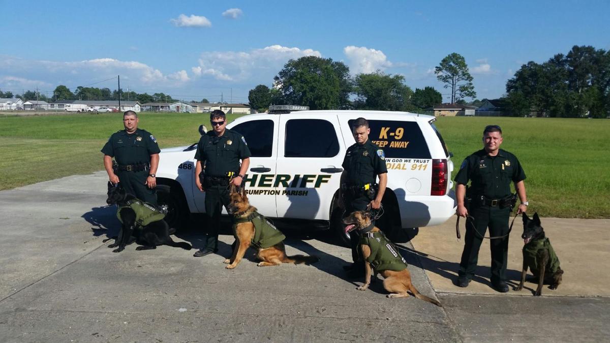 K9 safety Assumption Parish Sheriff's police dogs get bulletproof
