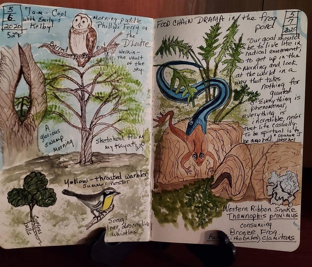 Discovering the Outdoors Through Nature Journaling