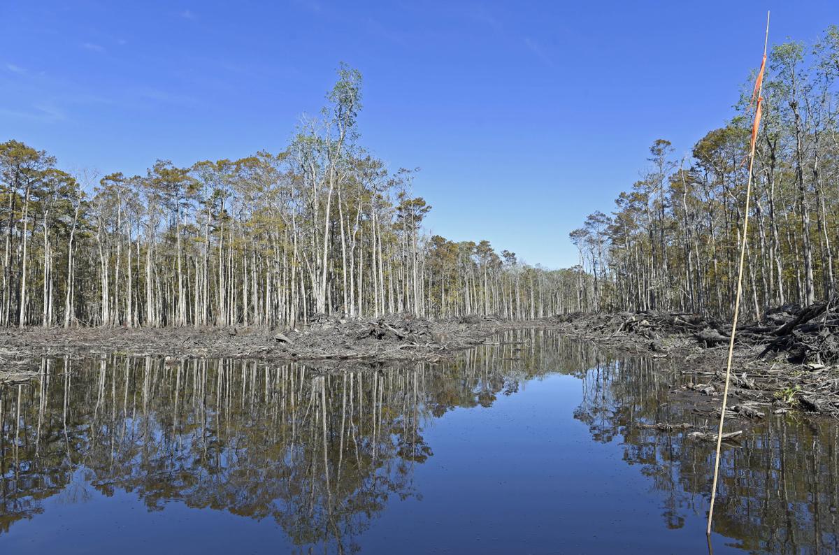 Missteps in building Amite River diversion canal design flaws