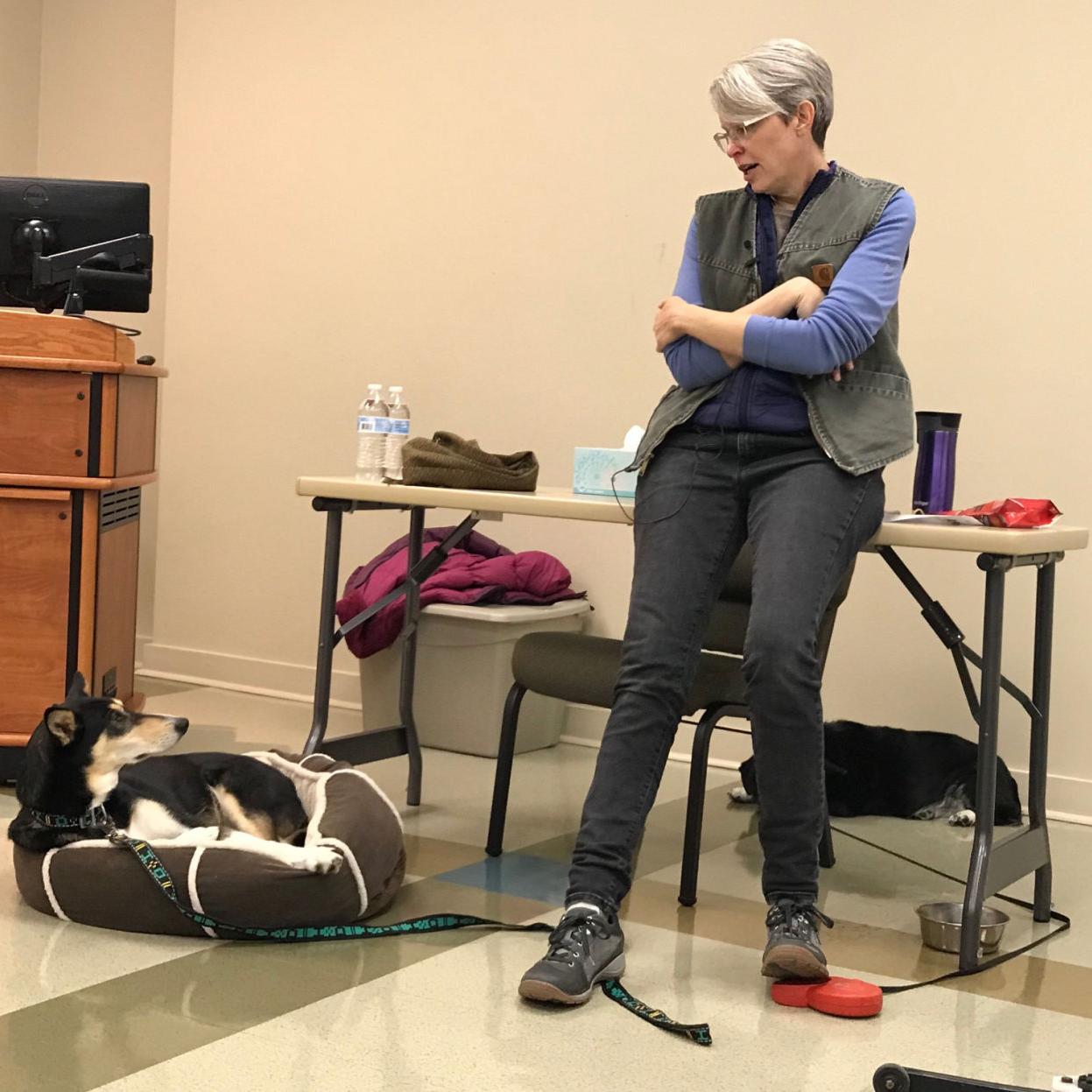 Iditarod Racer Sled Dogs Visit The Ascension Parish Library
