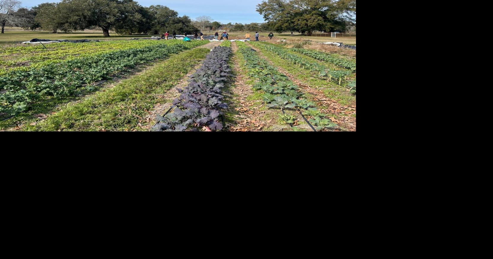Local nonprofit farm rescheduled its 5-course dinner due to weather. See updated date. Oct 9, 2026 1 min ago 1 min to read