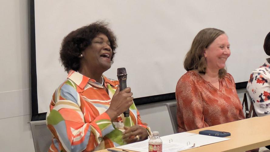 Anti St George Panel Pic 3..12.7.2025..PXL_20251207_2200343.jpg