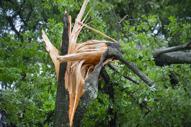 Baton Rouge tornado report See details on top wind speeds, track, more