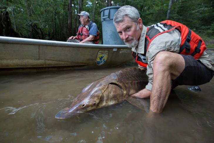 Gulf oil endangered species rules too lax: federal judge | Environment ...