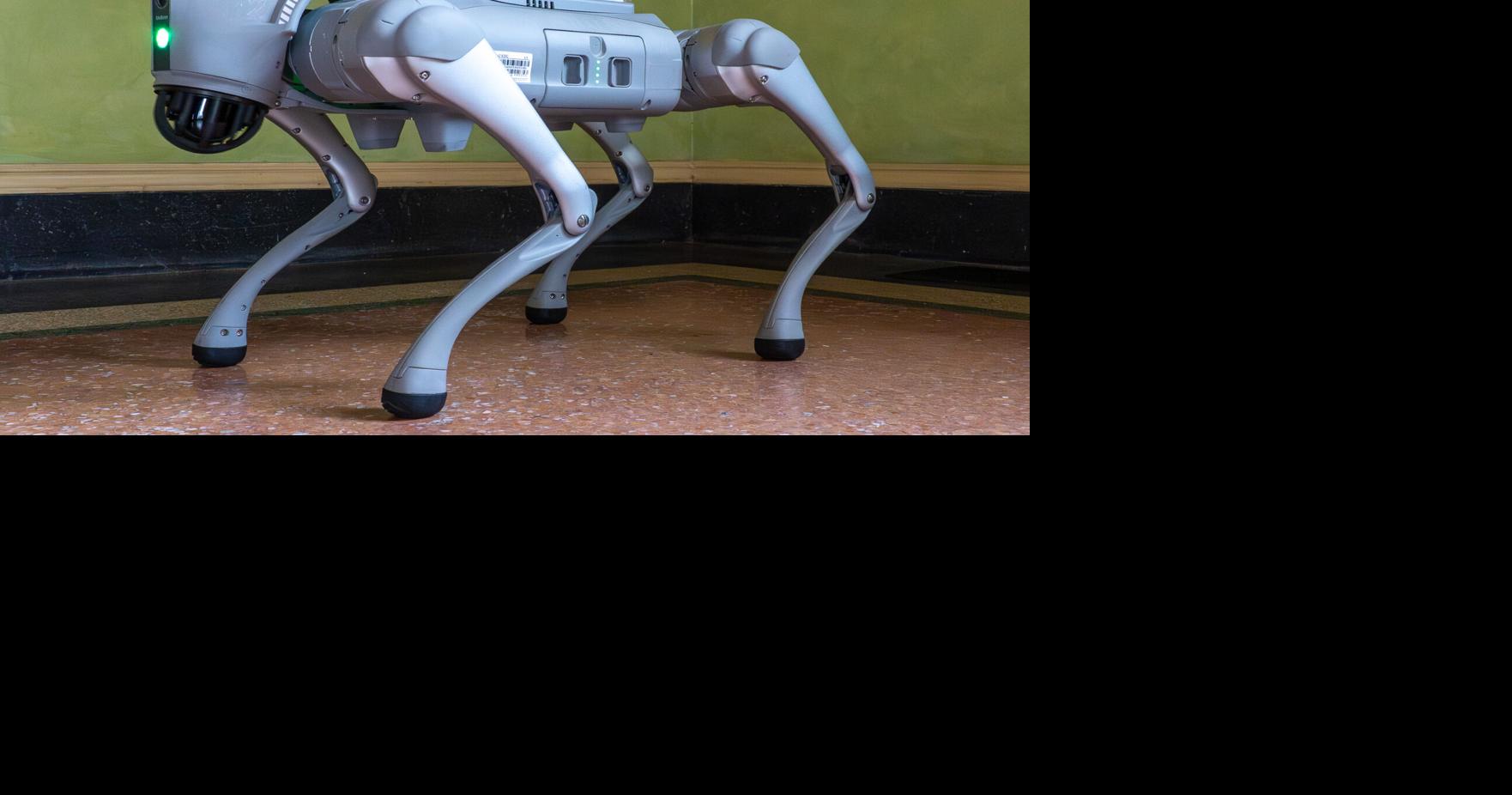 Robots are coming to Louisiana's Old Governor's Mansion. Check them out on ...