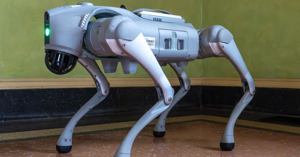 Robots are coming to Louisiana's Old Governor's Mansion. Check them out on ...