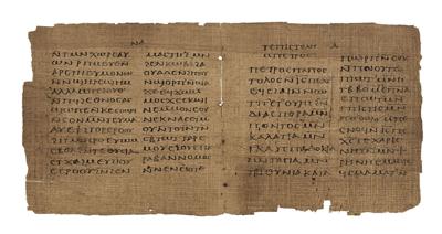 webRNBS-Crosby-Schoyen-Codex1.jpg