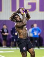 NO.lsuproday.032426_3256 MJ.JPG