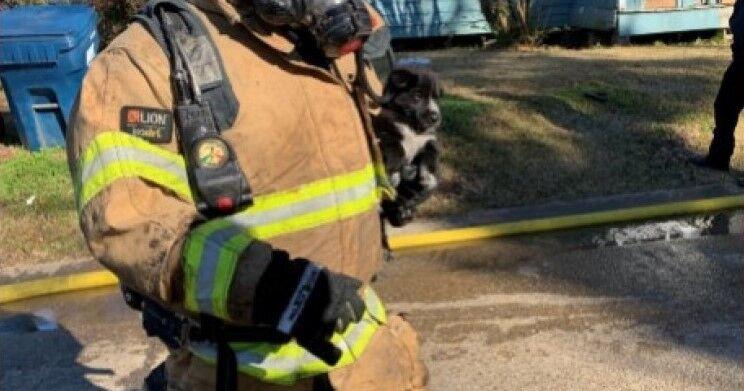 25 firefighters respond to Lafayette fire that claims life of puppy ...