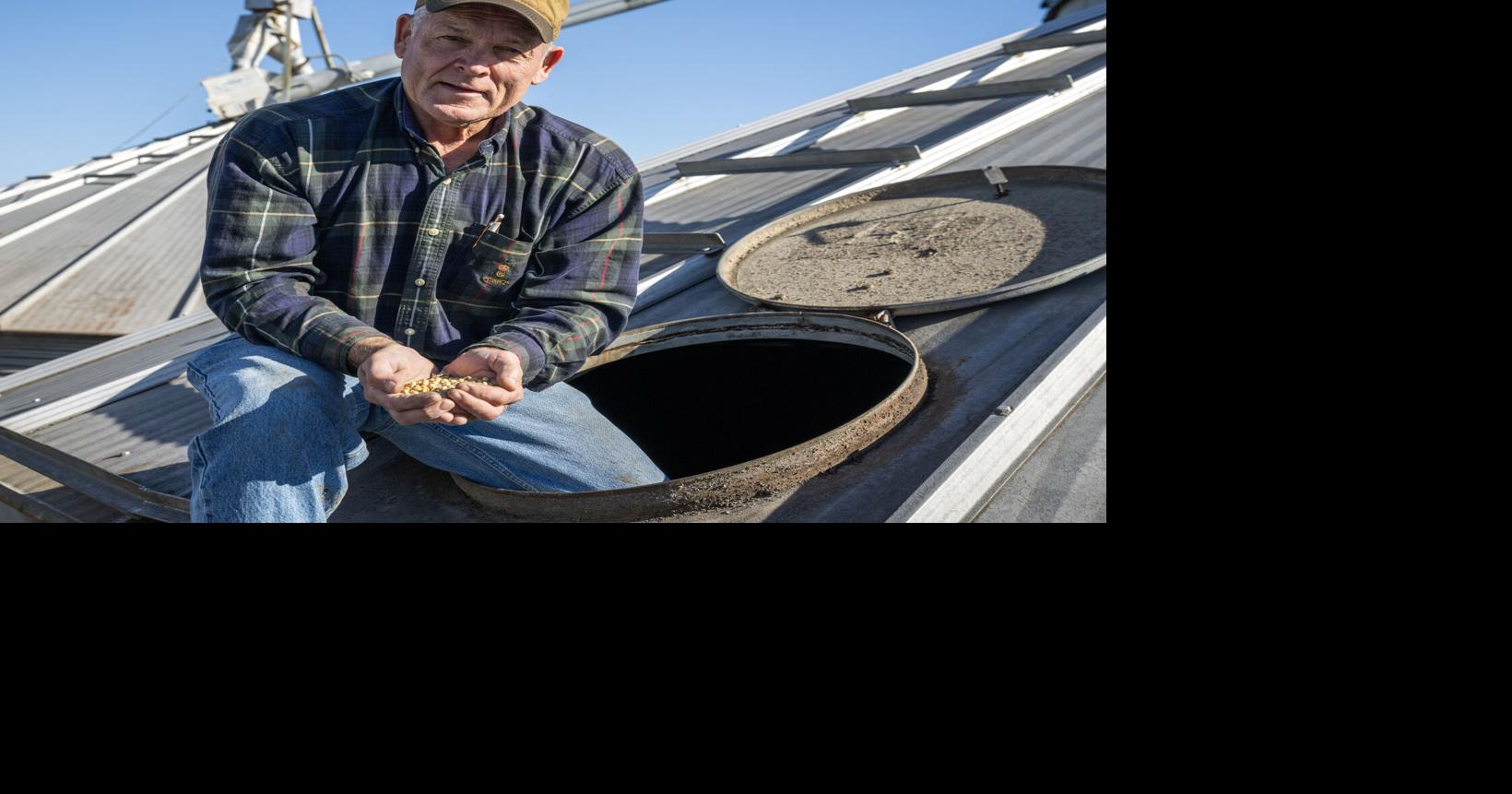 Trump’s $12 billion payment to farmers comes in rough time for Louisiana farmers