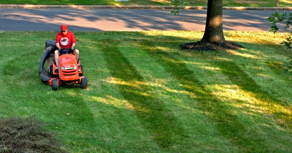 Wait until grass is growing to apply weed killer: Dan Gill's advice