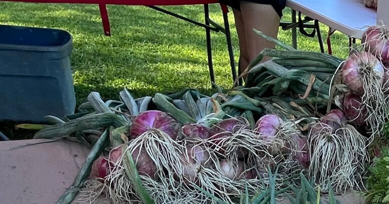 Outdoor market on Highway 621 welcomes local vendors