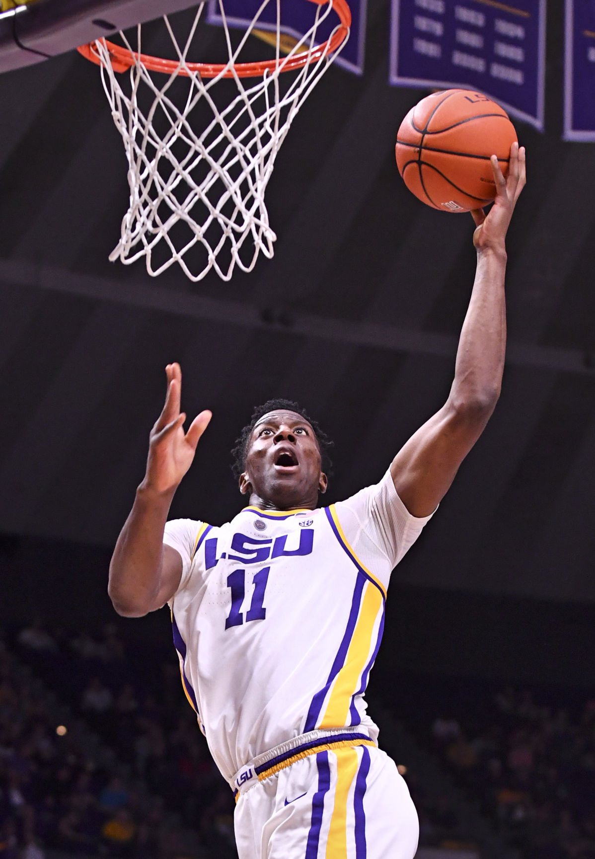 lsufloridabasketball.022119 HS 1119.JPG