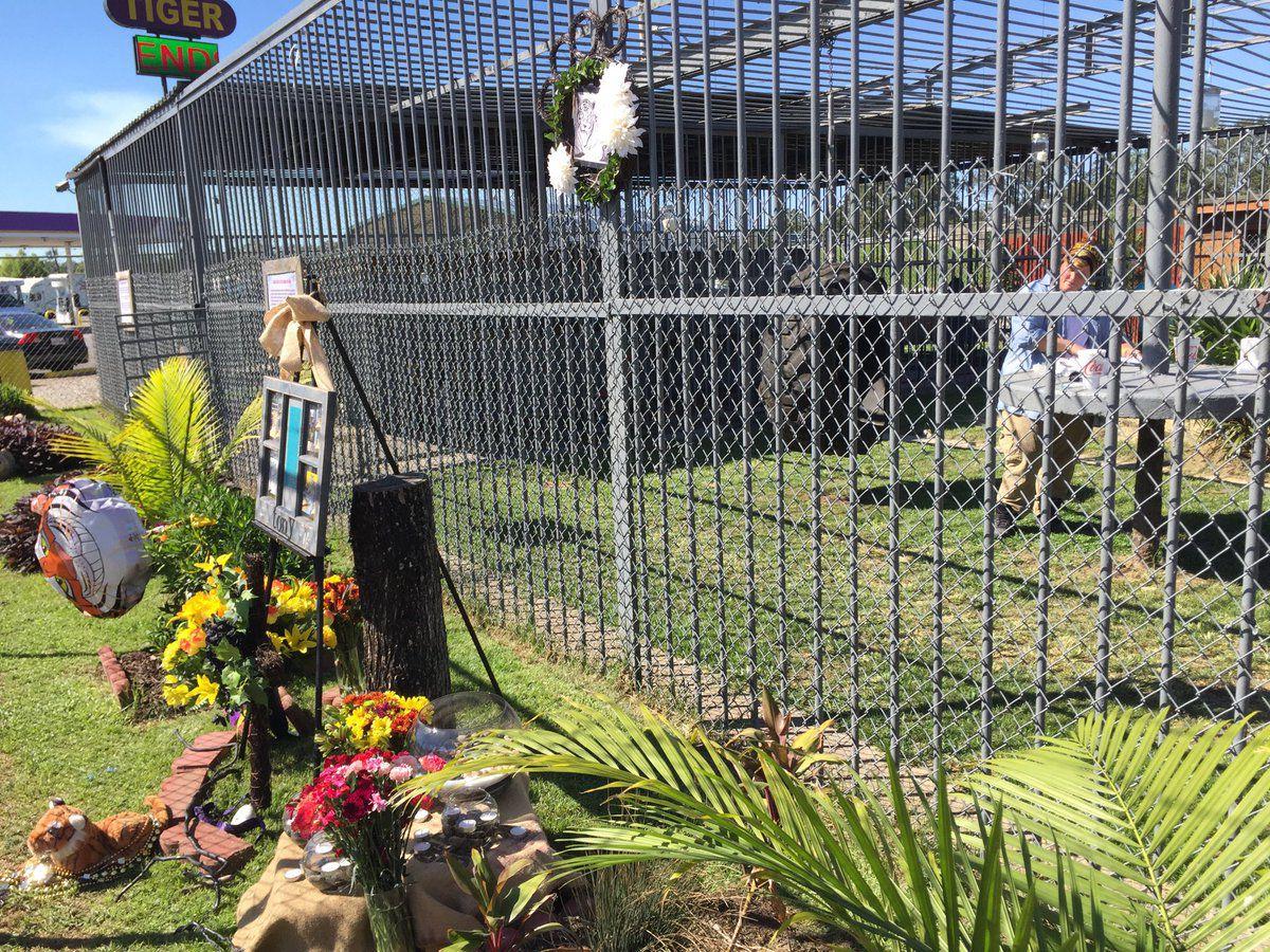 Baton Rouge Judge To Rule On State S Big Cat Ban As Grosse Tete