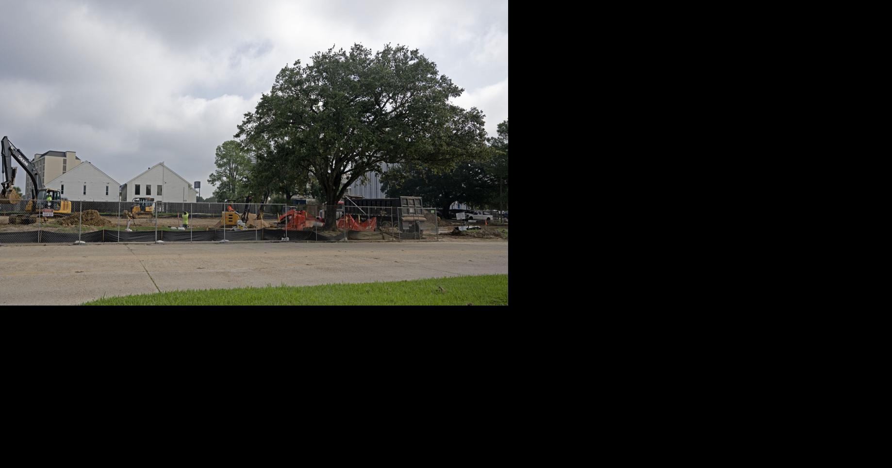 Who is behind all the work going on off College Drive?
