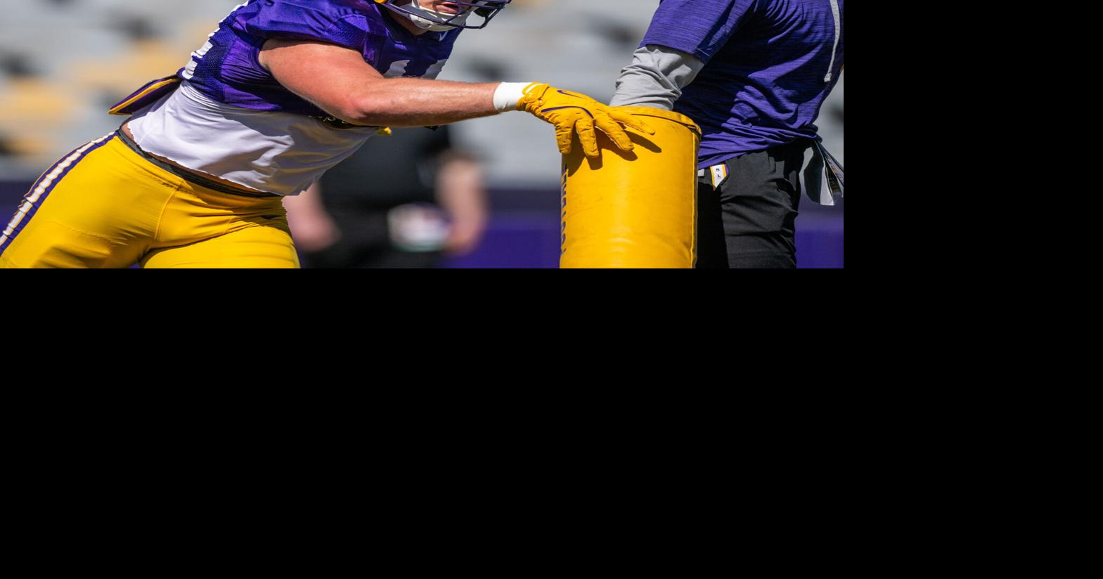 Many of LSU football's new transfers will start. Here's a breakdown of their projected roles.