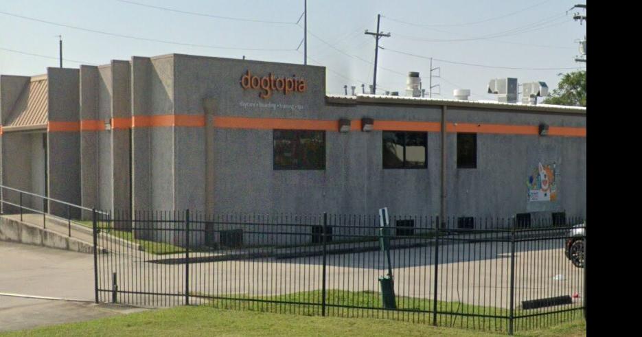 Dog daycare and spa business to open this week in Lafayette