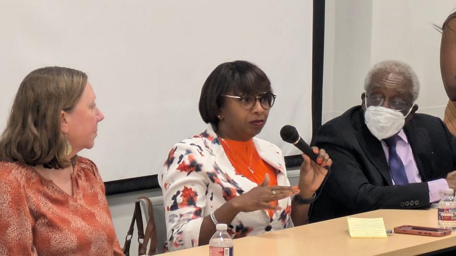 Anti St George Panel Pic 1..12.7.2025..PXL_20251207_2144360.jpg