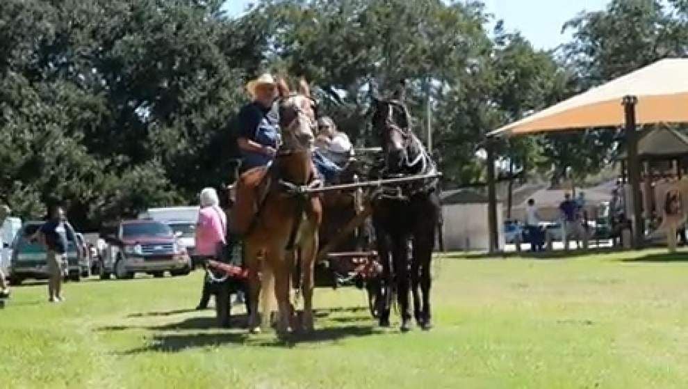 Video: Sugar Fest sights and sounds _lowres