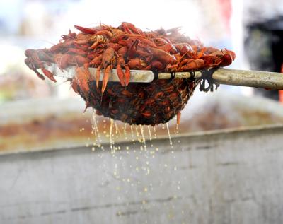 BB Crawfish Fest 2017 2 for Red