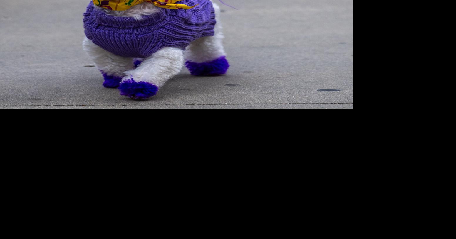 When will Arctic blast get to Lafayette, and what about ice? Timing changes in latest forecast.