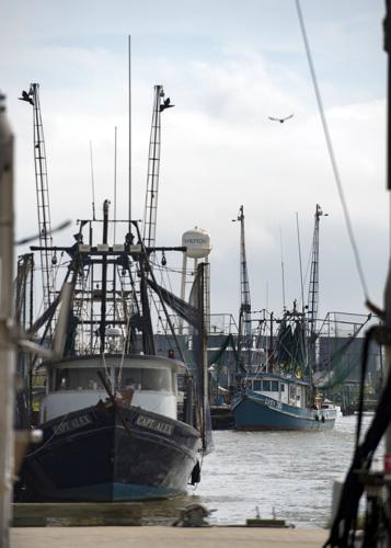 BR.lakechaslng.015.adv